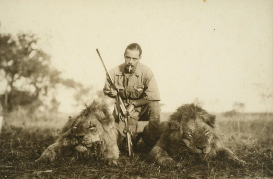 Felled Lions